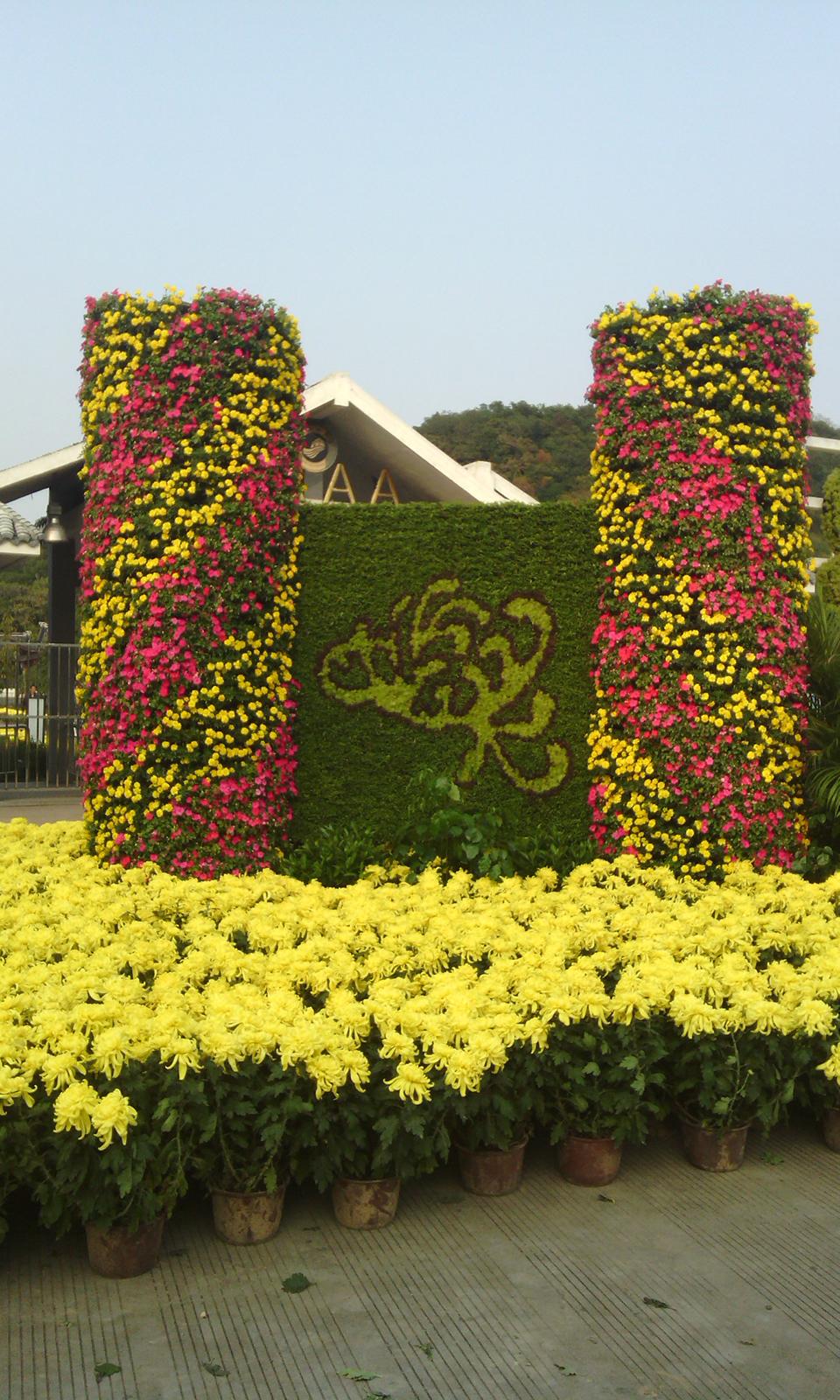 宁波镇海菊展项目(图3)