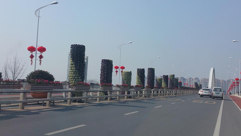 衢州绿化项目(图2)