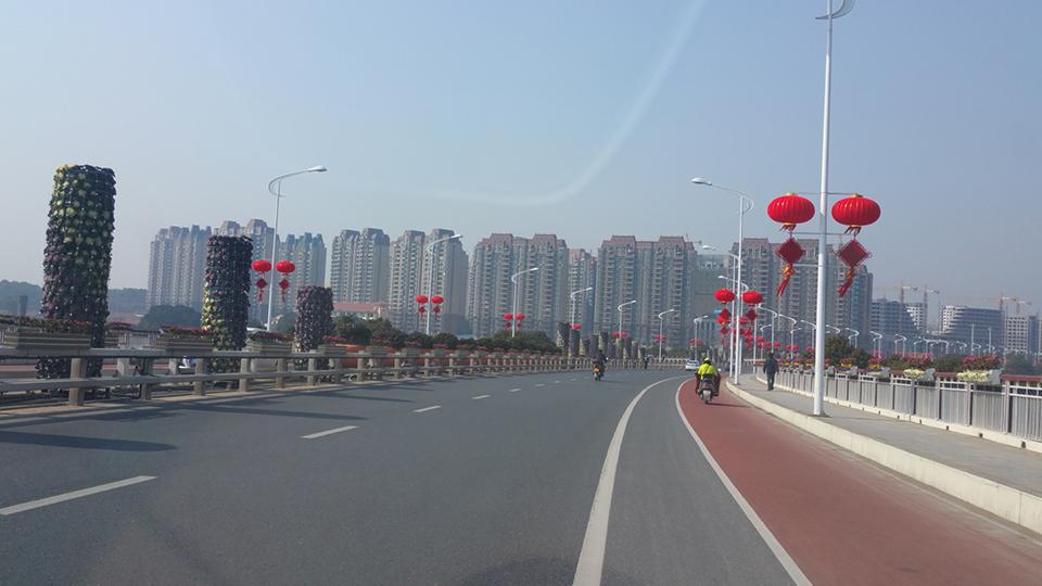 衢州绿化项目(图3)