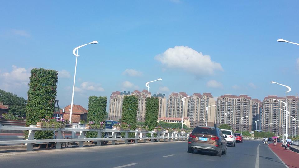 衢州绿化项目(图5)