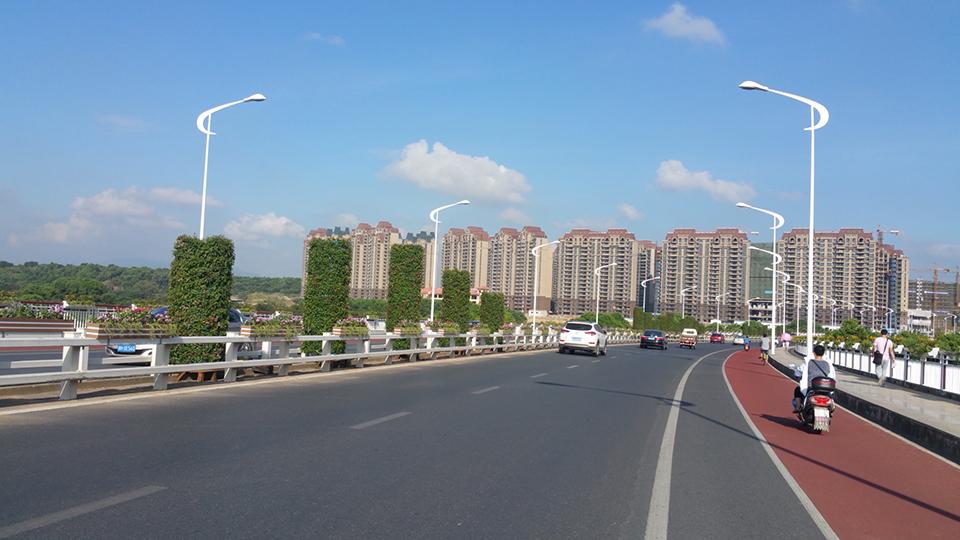 衢州绿化项目(图6)