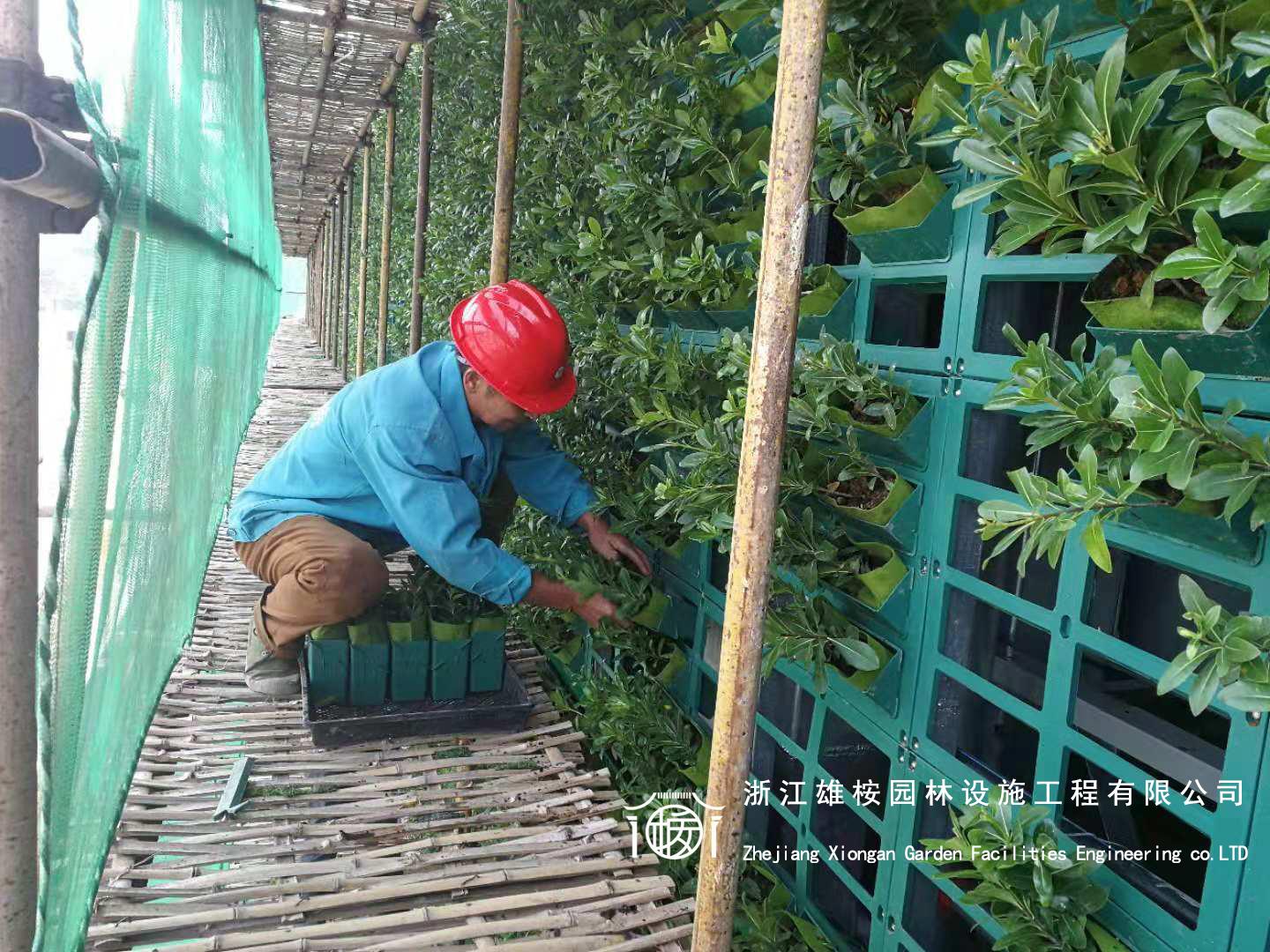 省科协大楼立体车库景观墙(图8)