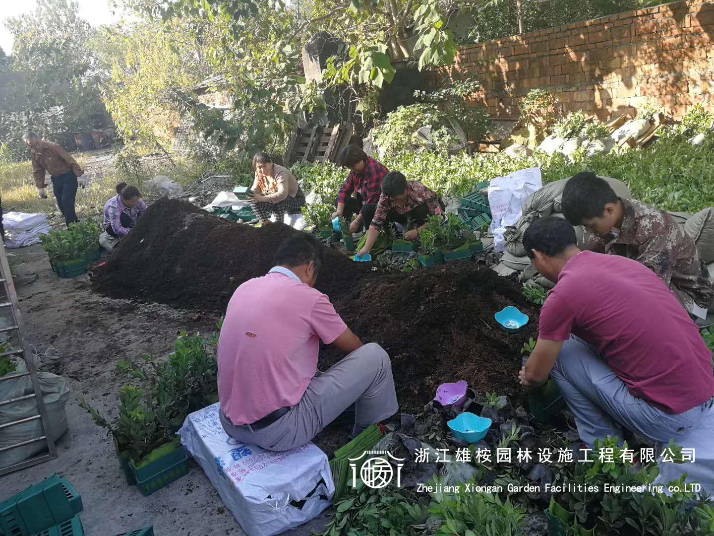 省科协大楼立体车库景观墙(图11)