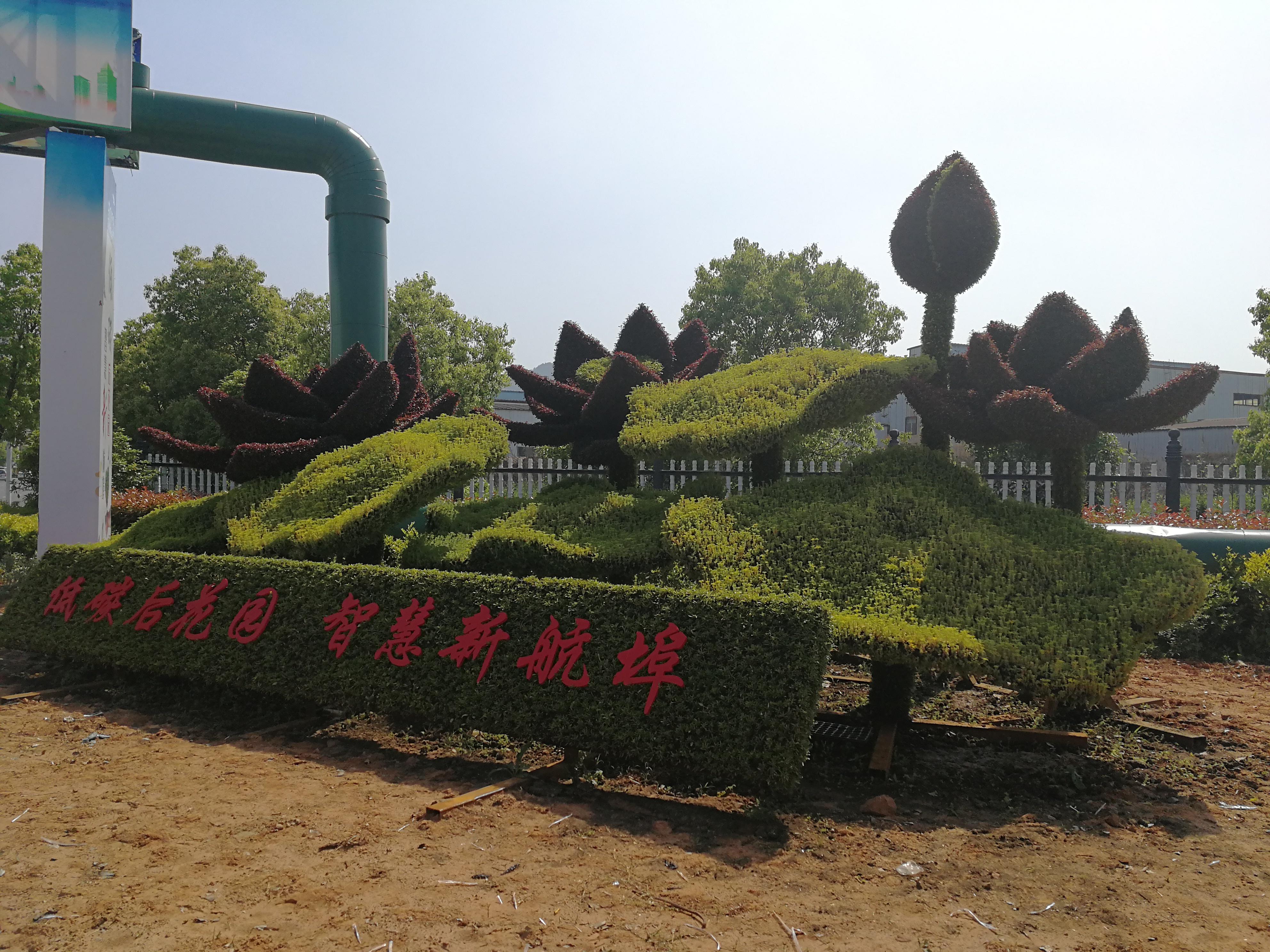 航埠立体花坛(图3)
