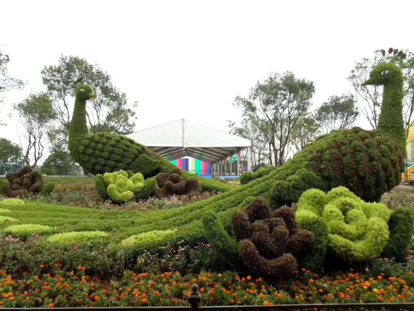 立体花坛(图6)