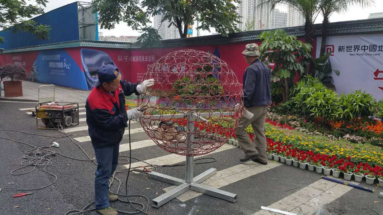 树状花球(图7)