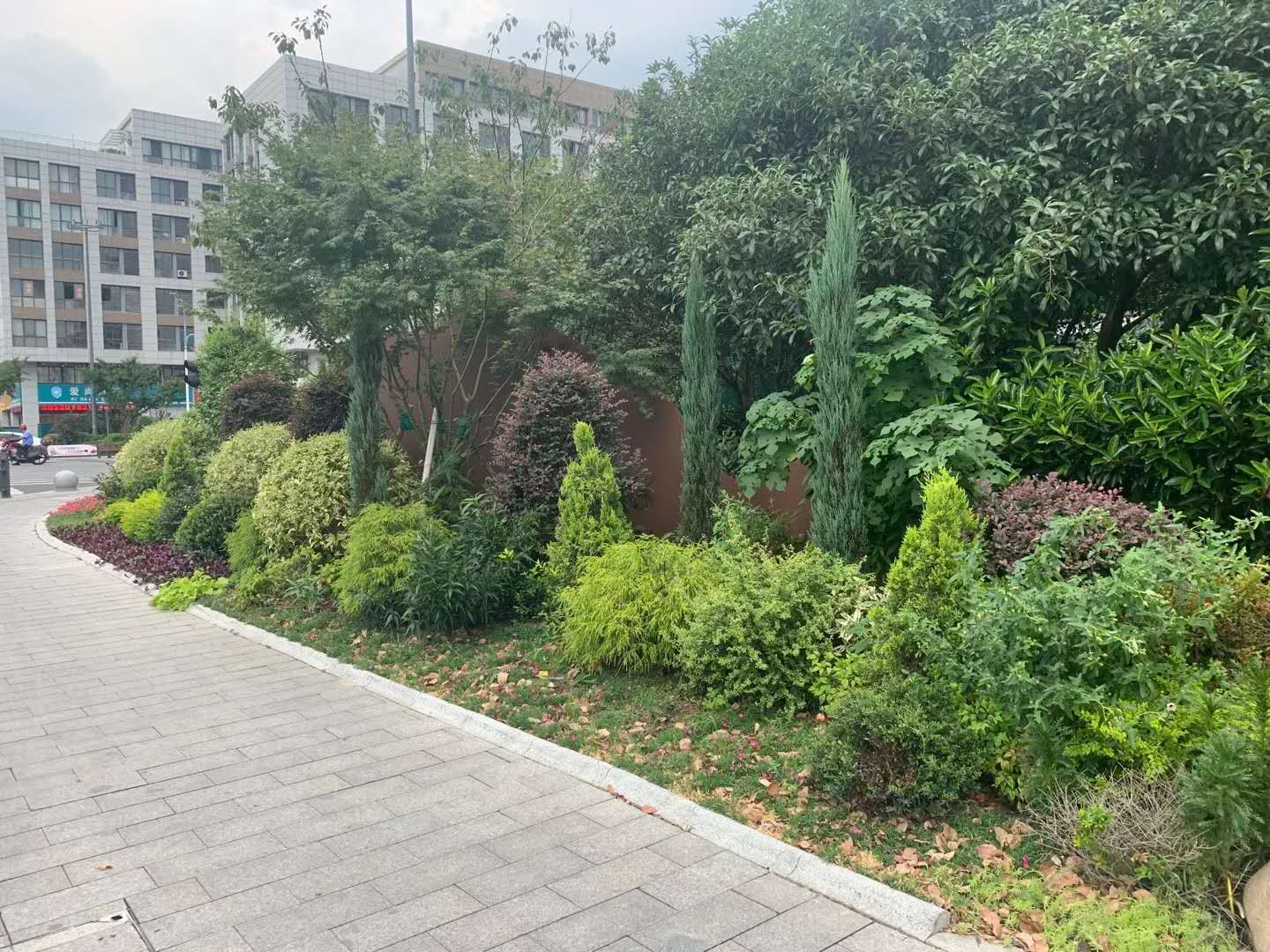 花境(图2)