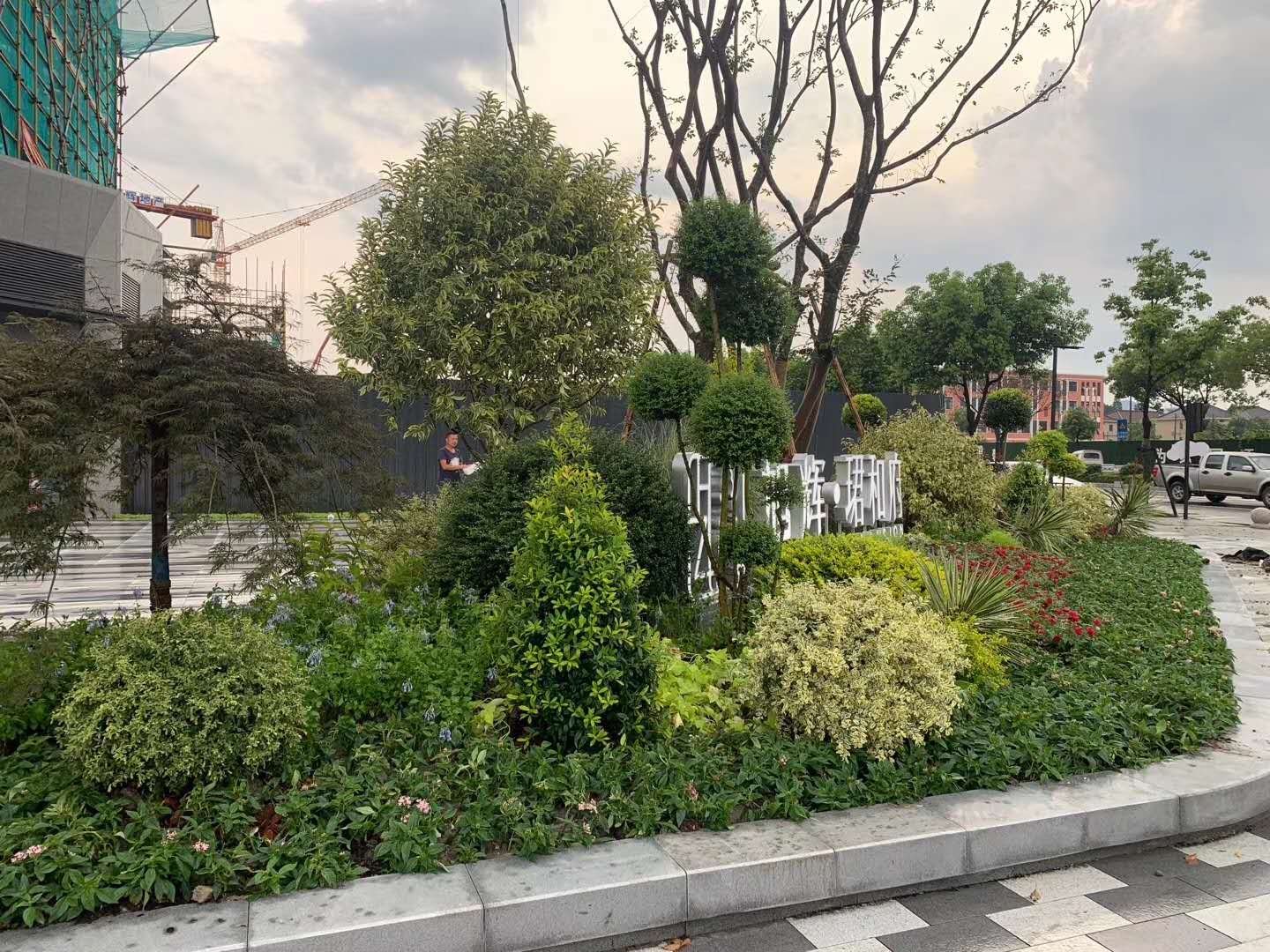 花境(图7)