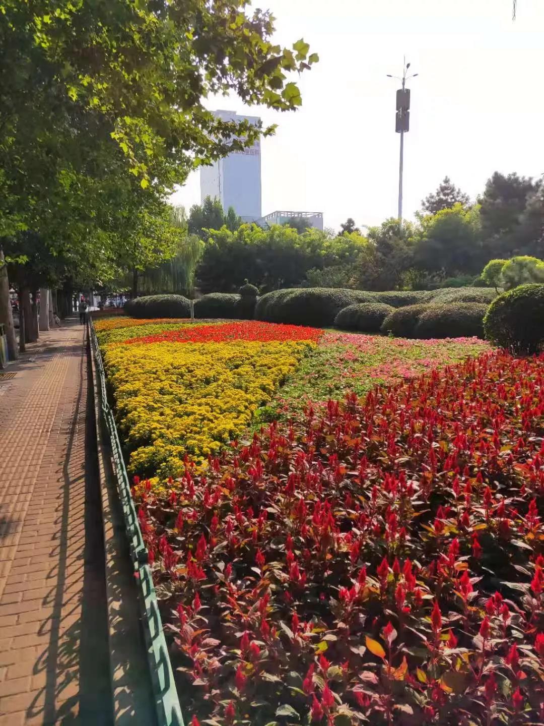 花城——让鲜花扮靓省会(图2)
