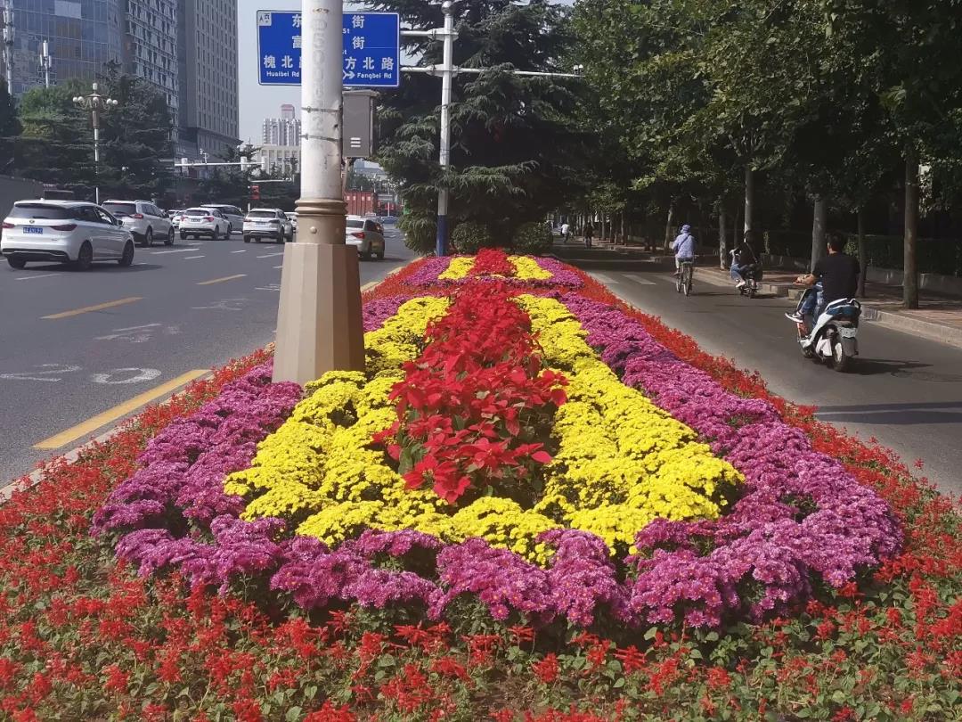花城——让鲜花扮靓省会(图4)
