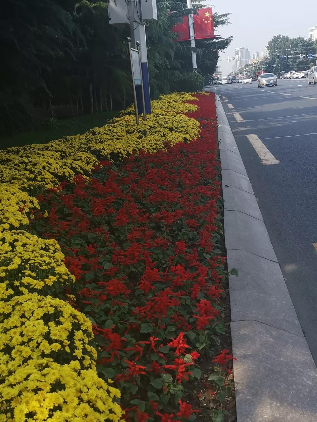 花城——让鲜花扮靓省会(图7)