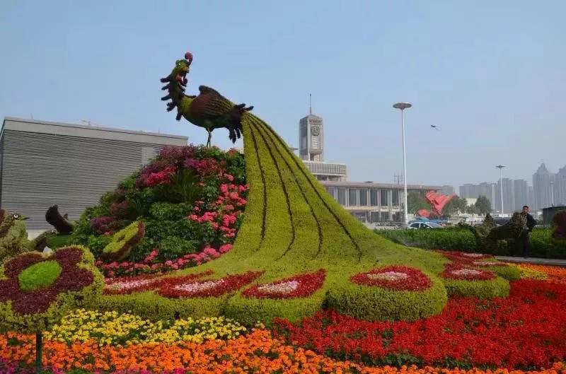 花城——让鲜花扮靓省会(图8)