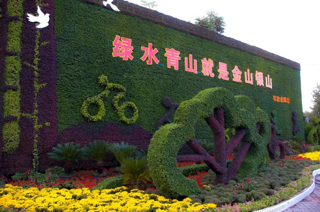 花城——让鲜花扮靓省会(图9)