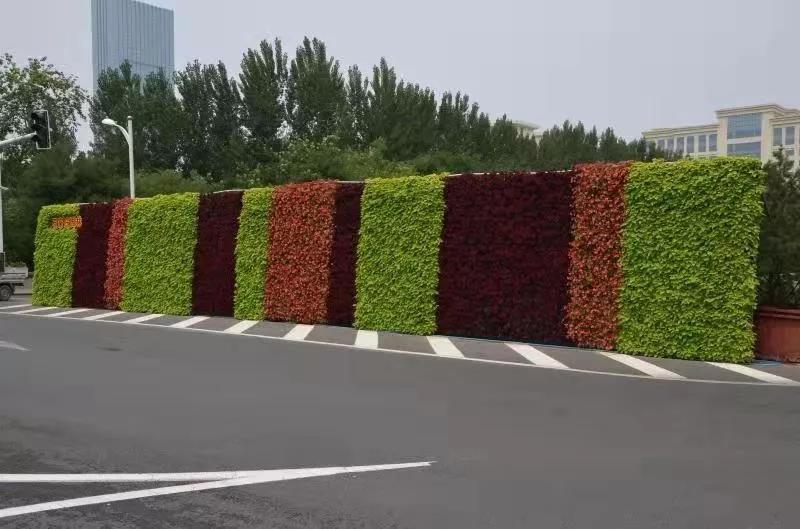 花城——让鲜花扮靓省会(图15)