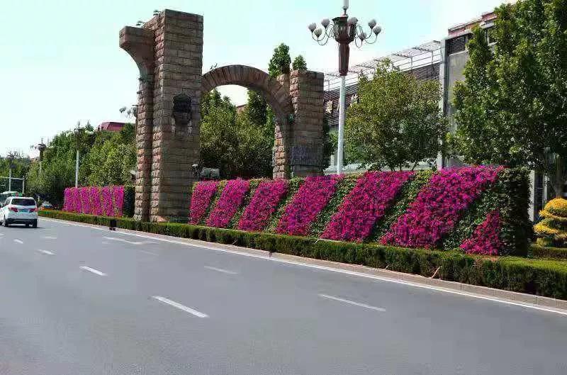 花城——让鲜花扮靓省会(图12)