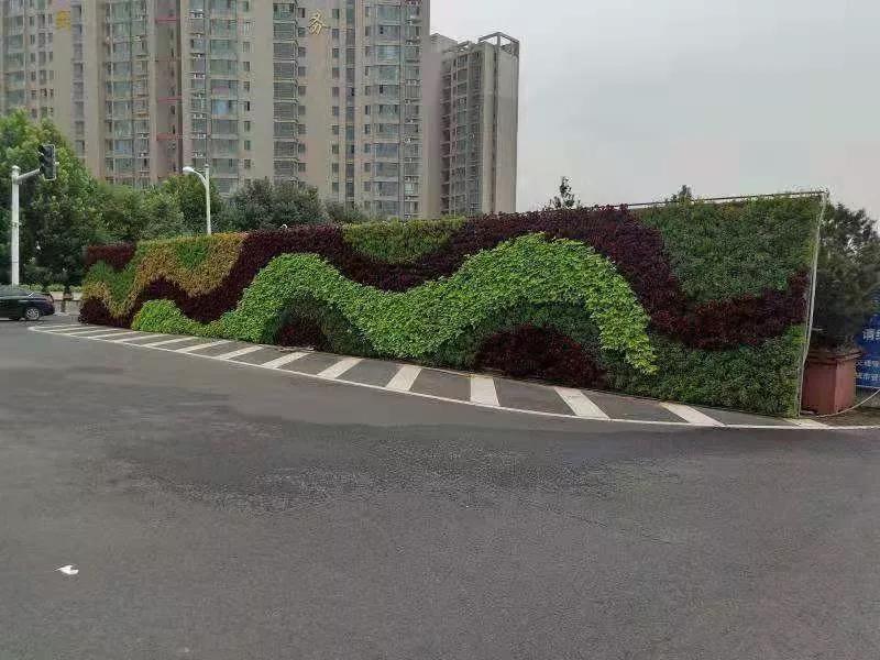 花城——让鲜花扮靓省会(图16)
