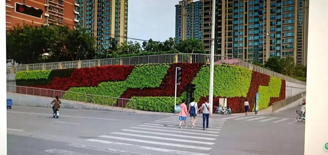 花城——让鲜花扮靓省会(图17)