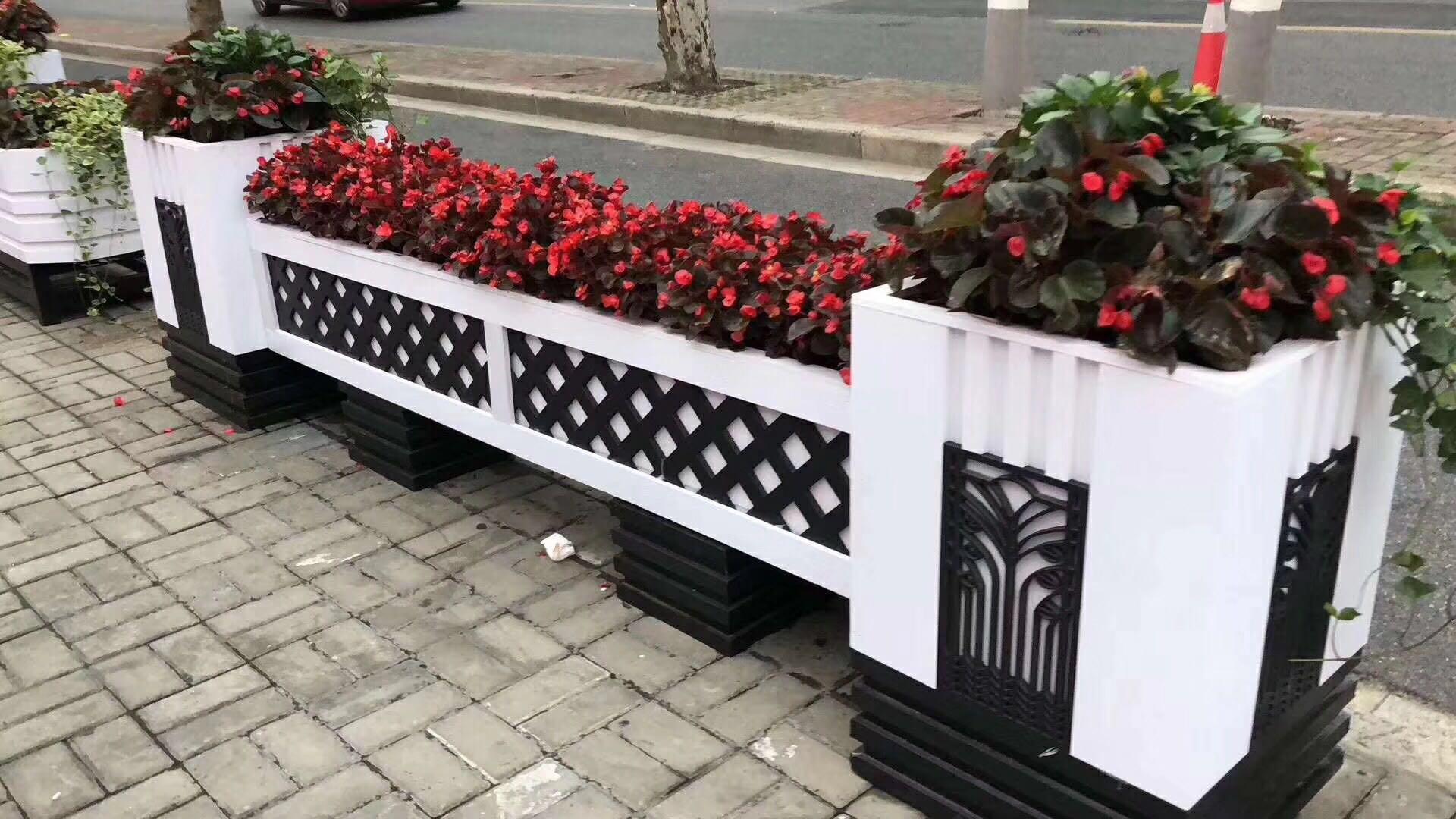 花城——让鲜花扮靓省会(图23)