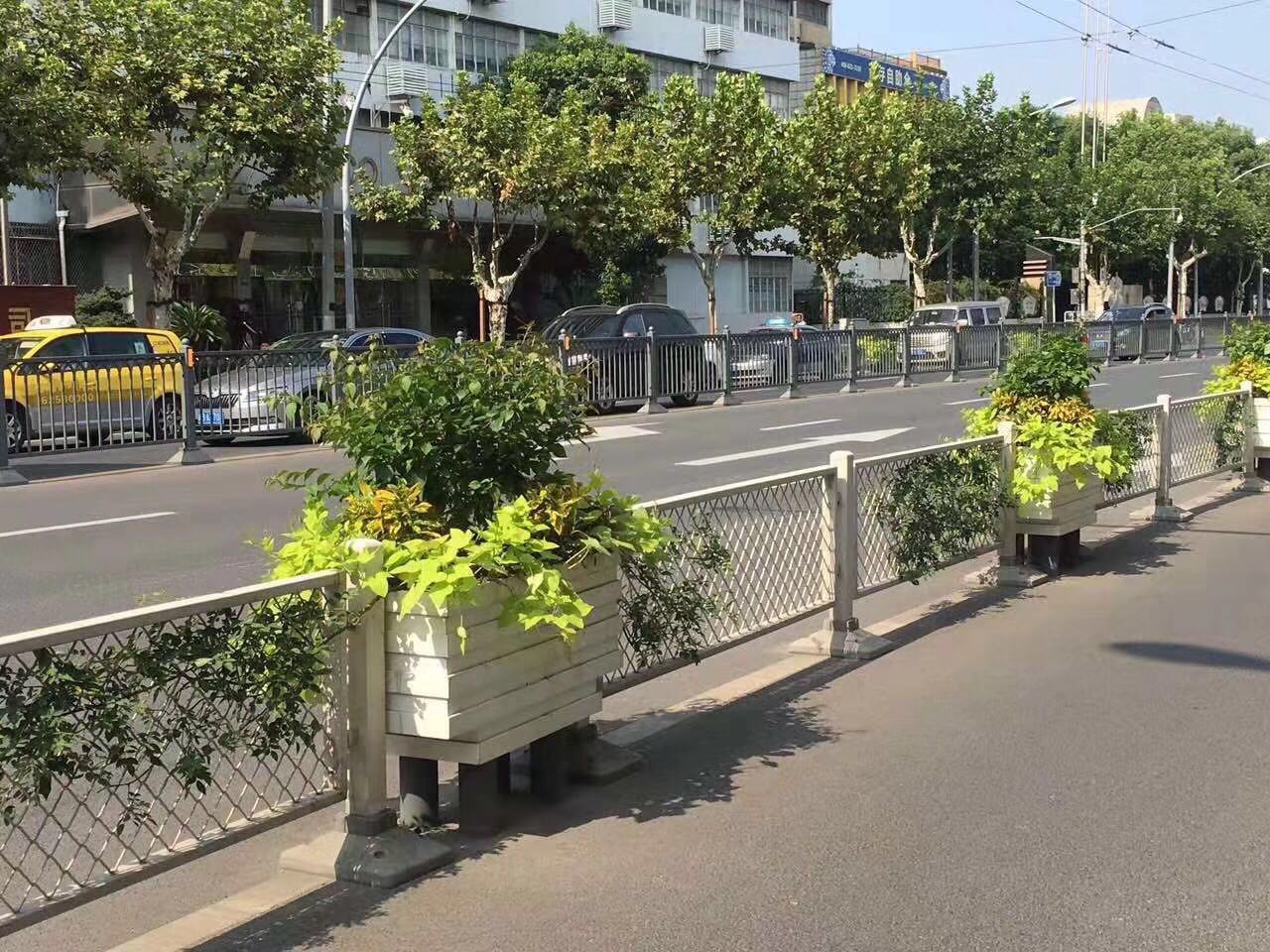 花城——让鲜花扮靓省会(图24)