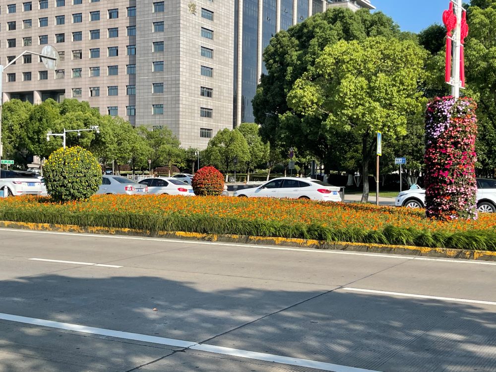 浙江海宁政府市政道路景观提升项目(图2)