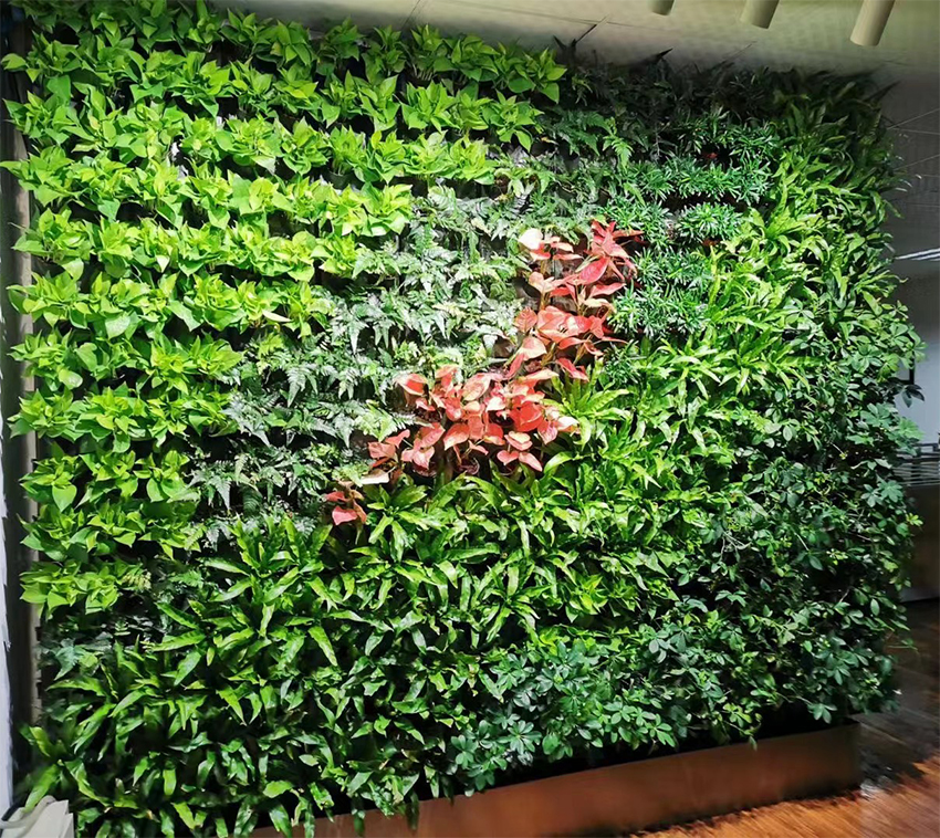 壁挂式垂直绿化花盆(图3)