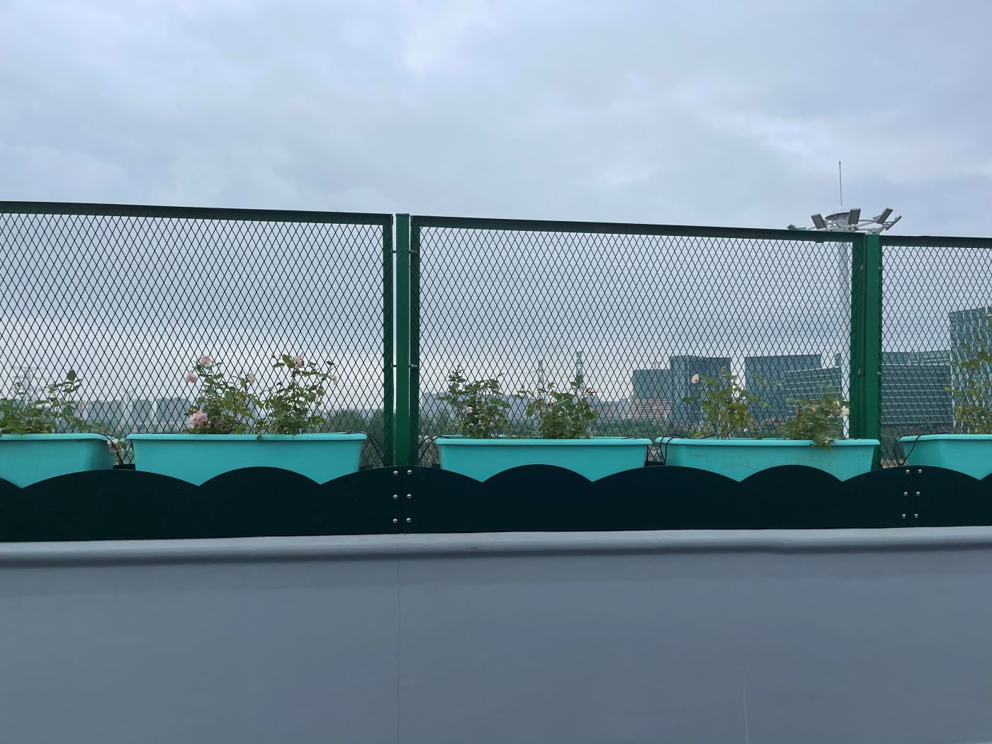 杭州三墩互通高架绿化—高架花盆槽(图3)