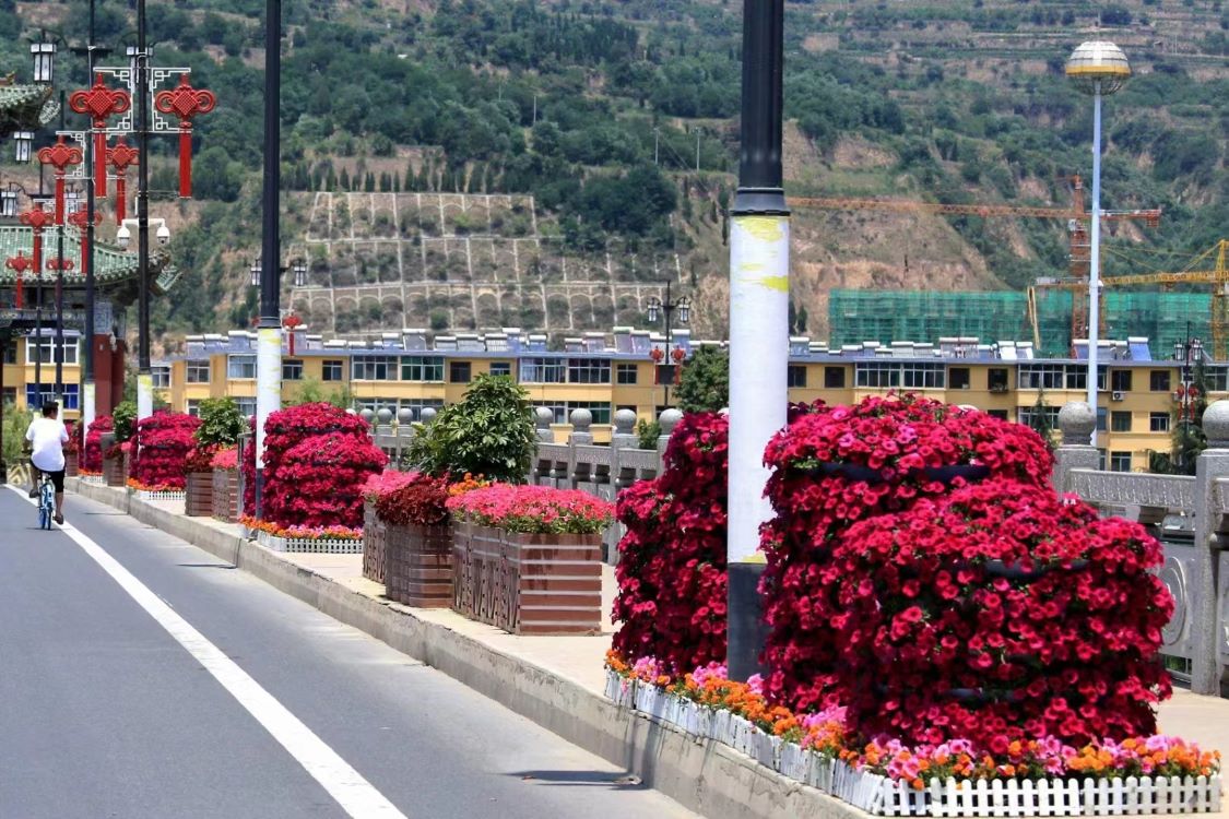 甘肃天水市政景观提升项目(图3)
