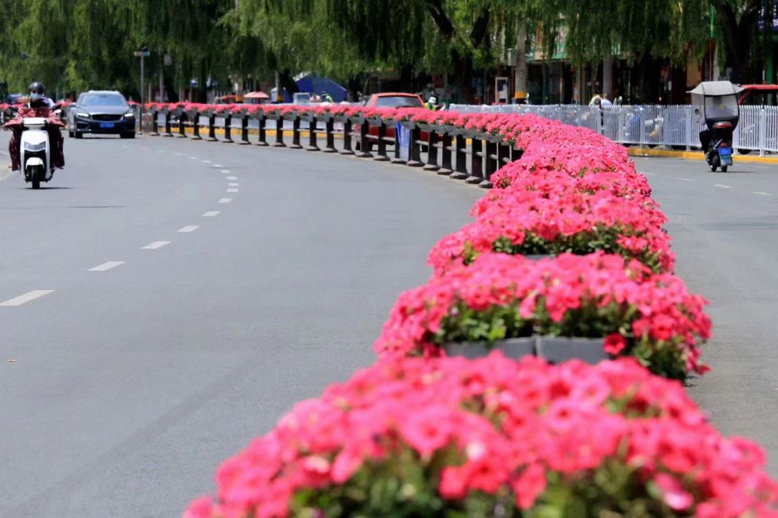 甘肃天水市政景观提升项目(图4)