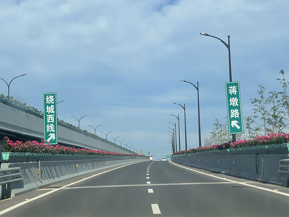 杭州三墩高架桥绿化项目(图1)