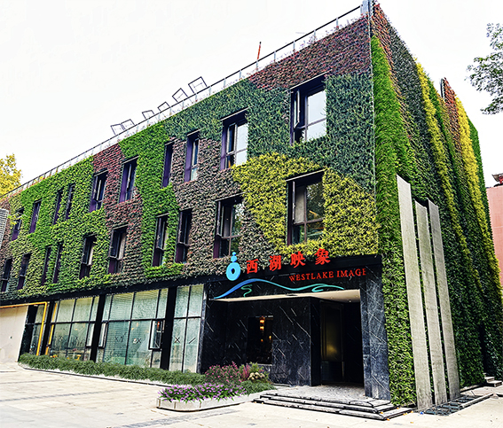 杭州西湖印餐厅垂直绿化项目(图1)