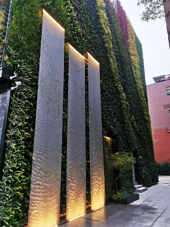 杭州西湖印餐厅垂直绿化项目(图2)