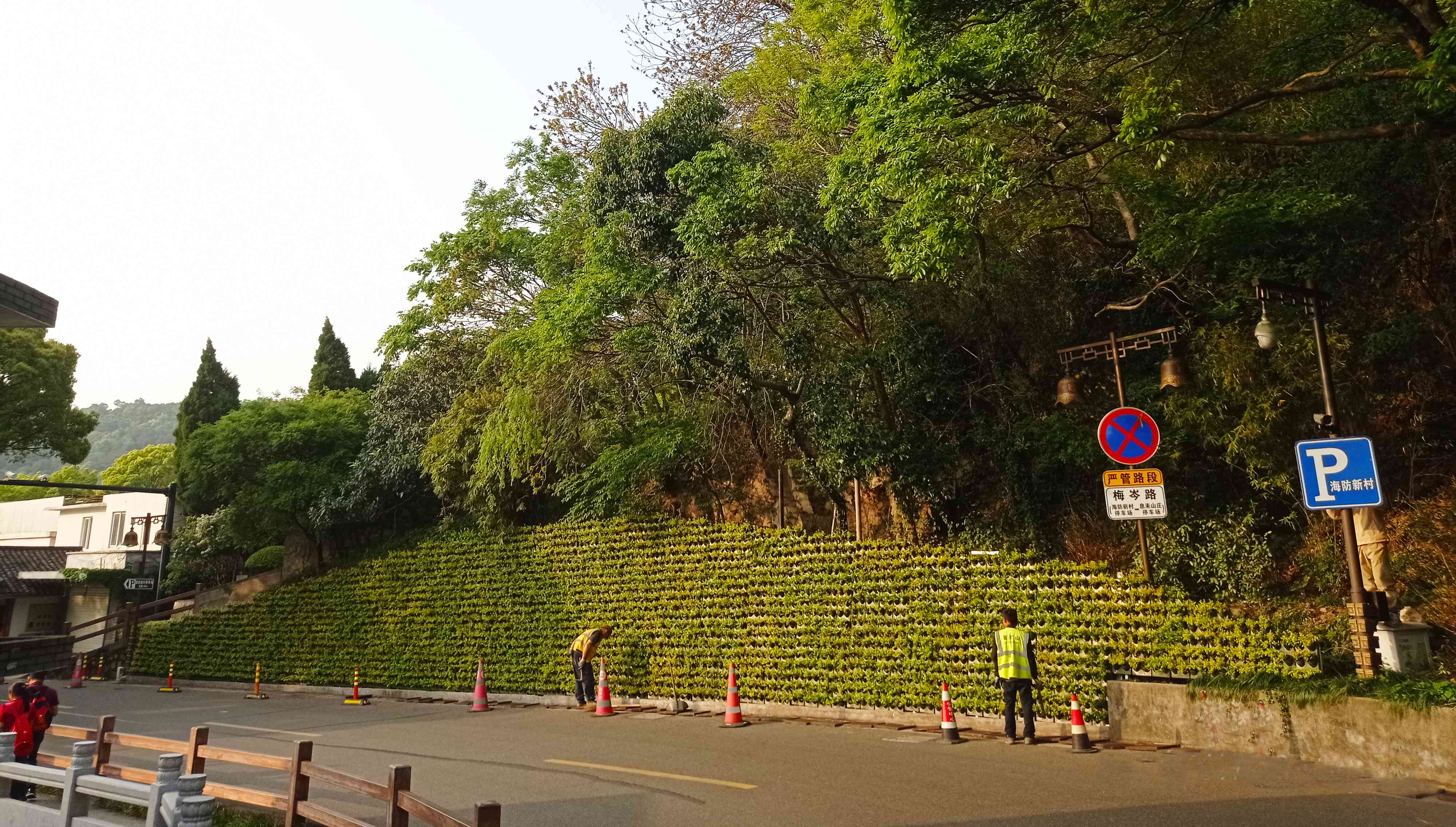 普陀山边坡垂直绿化项目(图1)