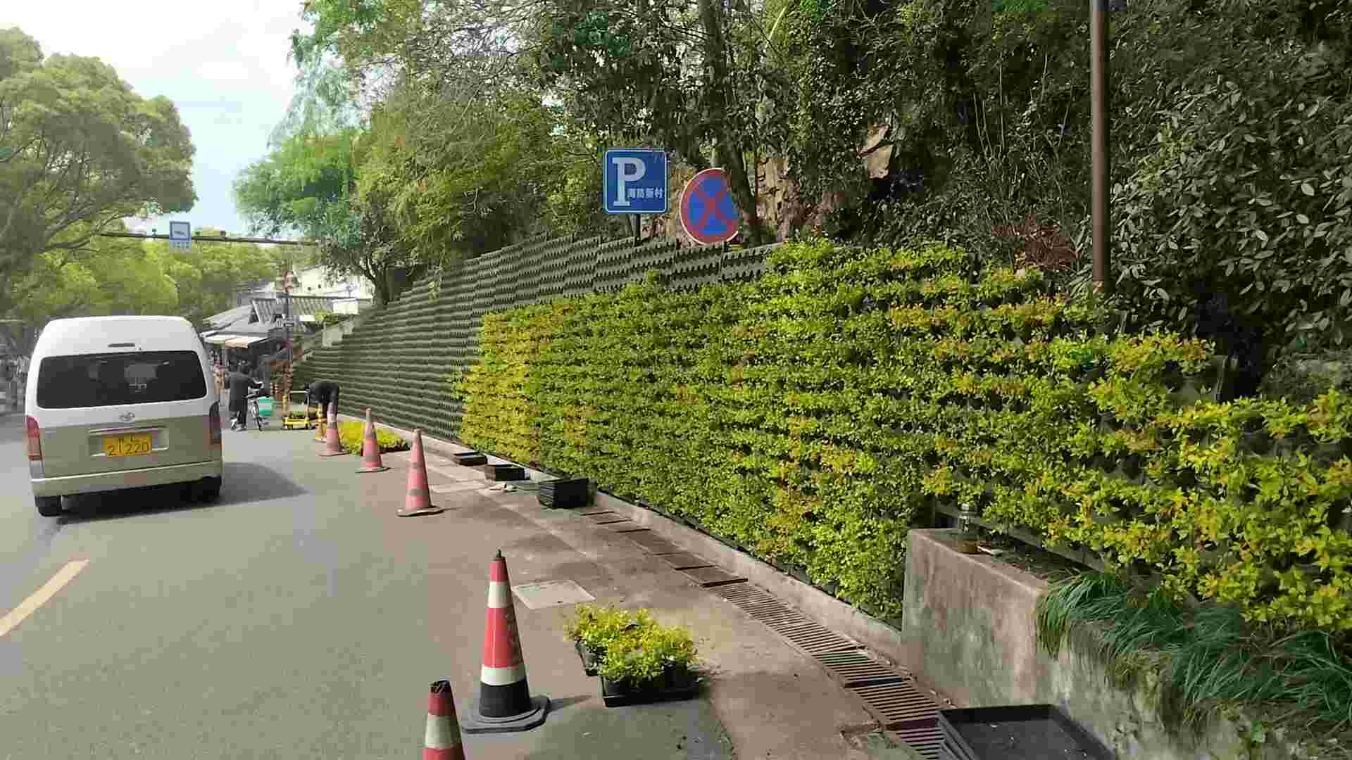普陀山边坡垂直绿化项目(图2)