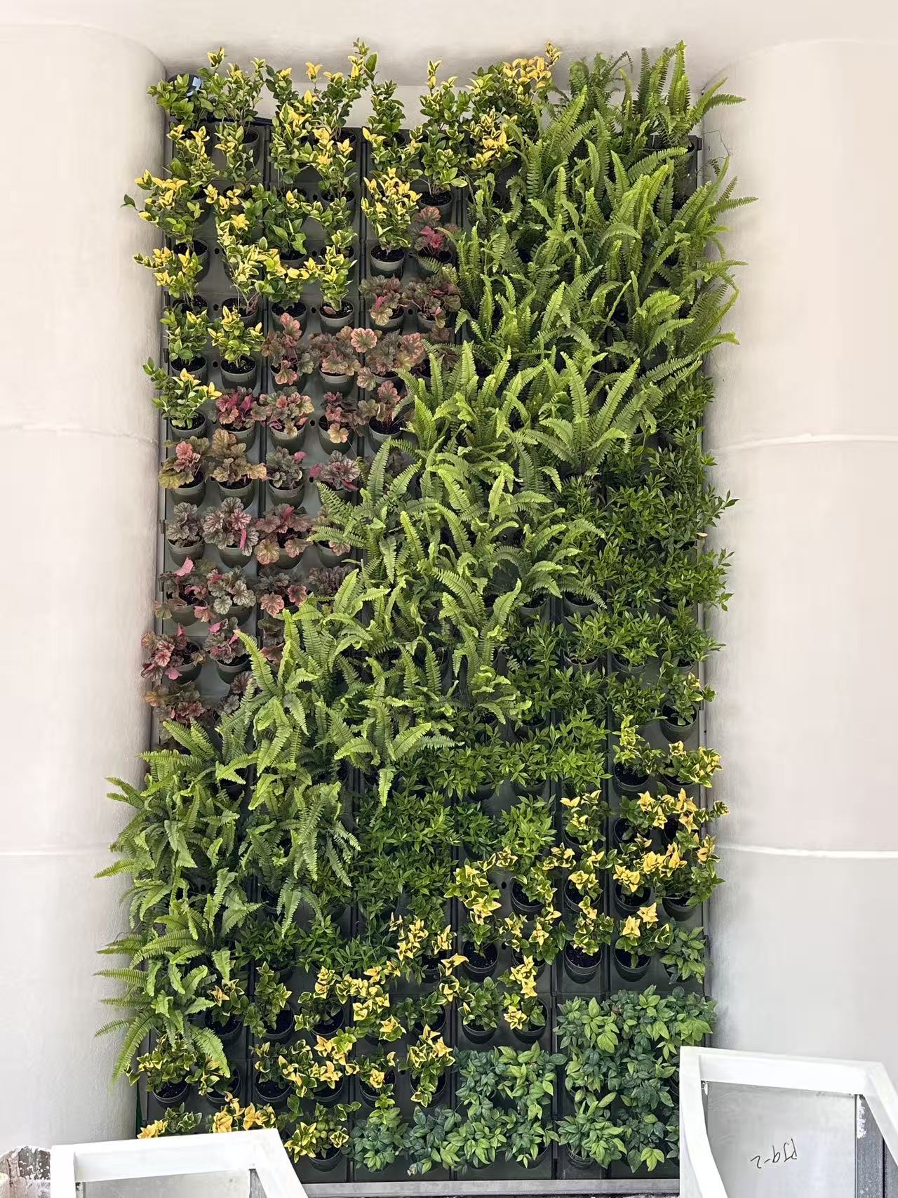 杭州逸衡酒店植物墙项目(图3)