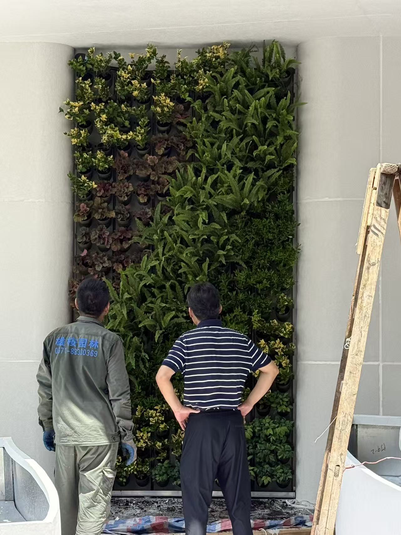 杭州逸衡酒店植物墙项目(图4)