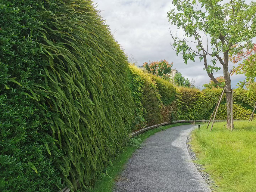 浙江丽水生态体育公园(图4)