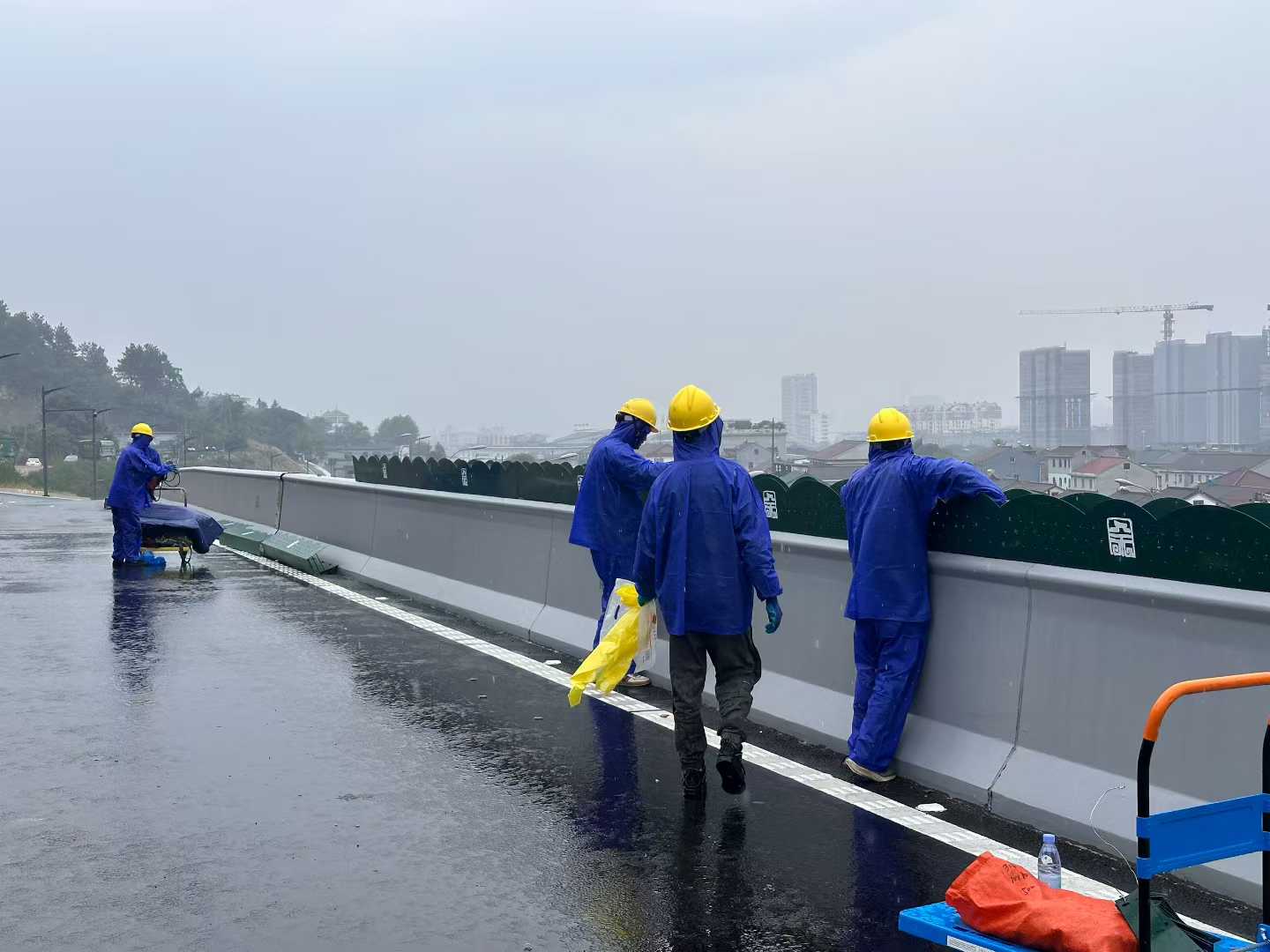 余姚梁周线高架绿化项目(图2)