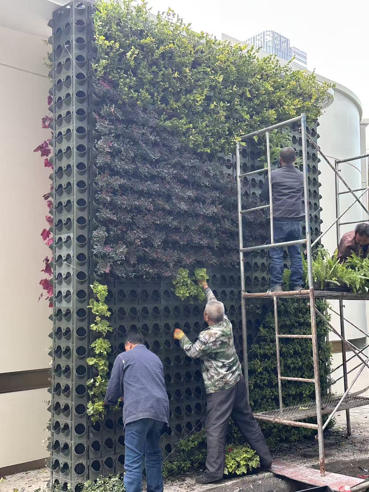 杭州世纪中心—杭州之门 华尔道夫酒店垂直绿化项目(图3)