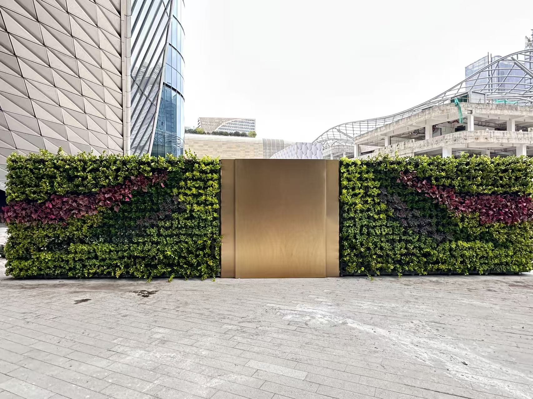 杭州世纪中心--杭州之门华尔道夫酒店垂直绿化项目(图4)