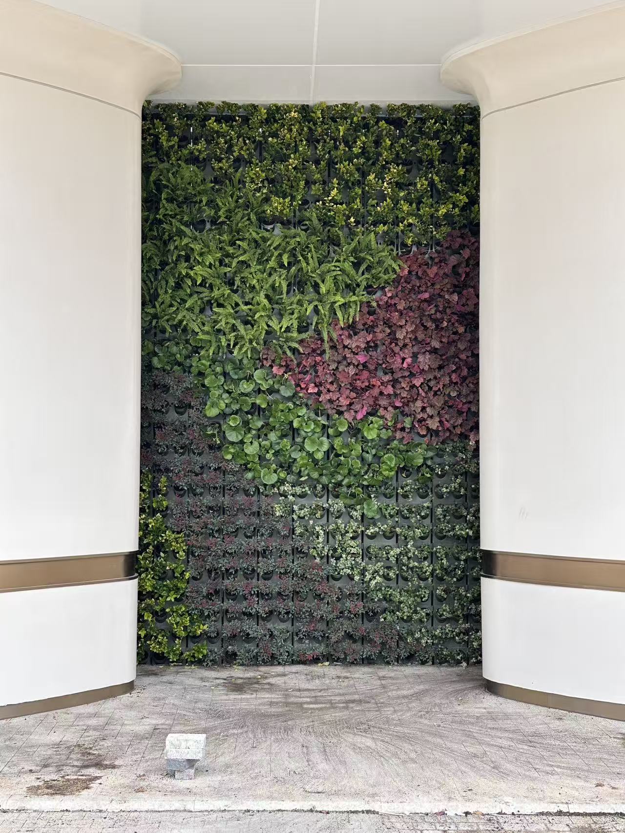 杭州世纪中心--杭州之门华尔道夫酒店垂直绿化项目(图5)