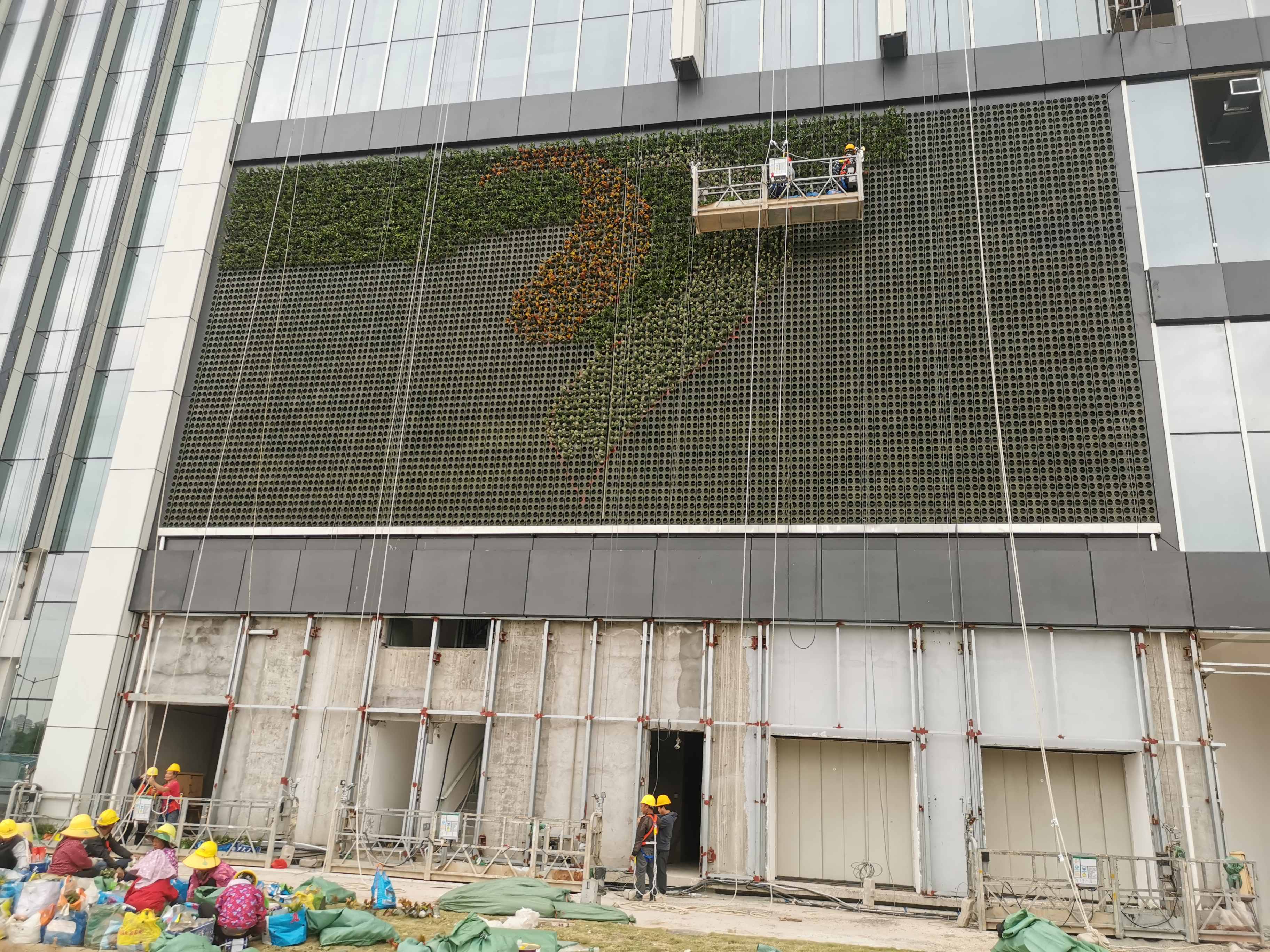 广东省珠海市香洲区天源集团总部垂直绿化项目(图2)