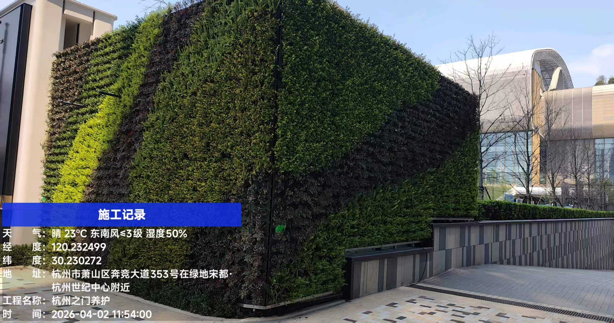 杭州世纪中心—杭州之门 华尔道夫酒店垂直绿化项目(图2)