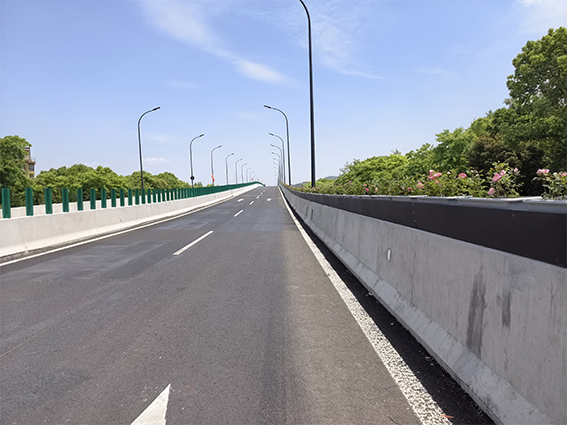 临海市城市快速路（南区段)高架桥绿化(图6)